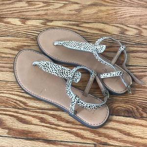 Cute, comfy Jcrew calfskin t-strap sandals